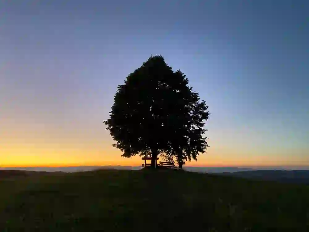 Das Foto zeigt die Aspi Linde in Obergoldbach, umrahmt von einem leuchtenden Sonnenuntergangshimmel in abgestuften Blau- und Orangetönen. Unter dem Baum befindet sich eine Bank, die einen idealen Platz bietet, um in Ruhe die friedliche Szene und die weitreichende Aussicht zu geniessen. Die klare Silhouette des Baumes gegen den Himmel vermittelt ein Gefühl der Ruhe und Einfachheit.
