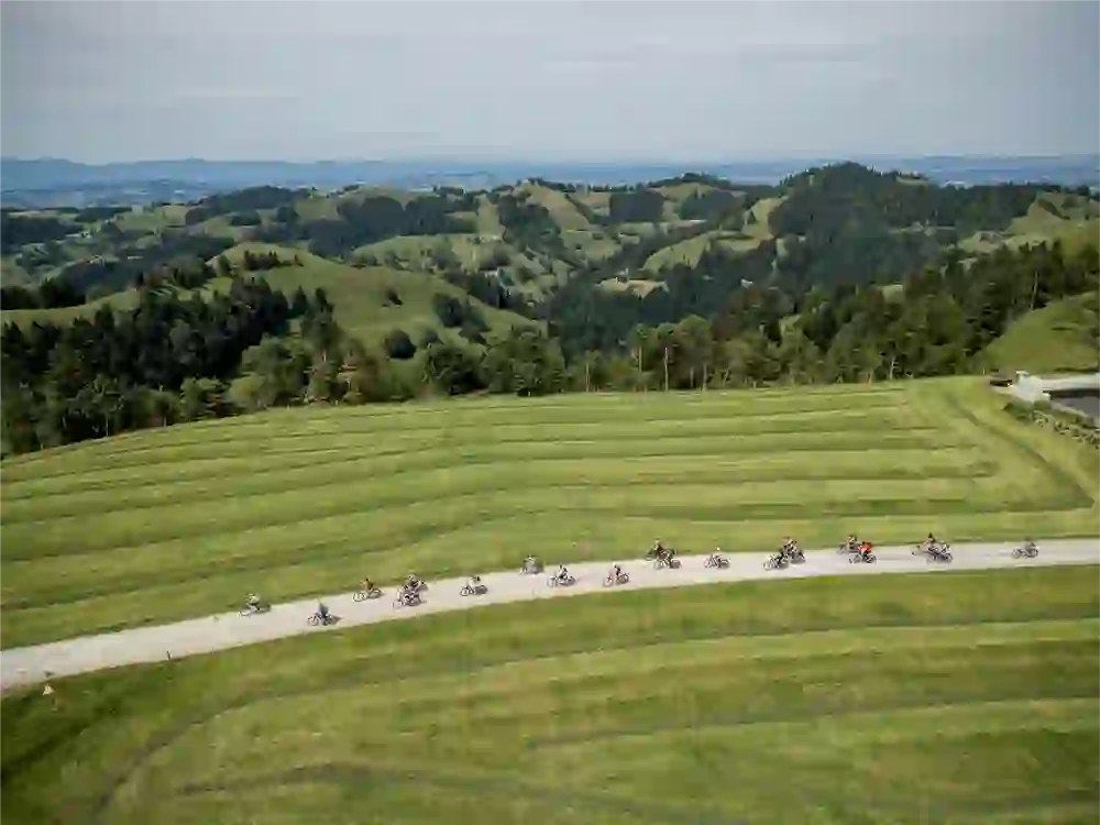 A large group of cyclists ride together along a green forest path. The atmosphere is lively and communal, characterised by movement, closeness to nature and the joy of being on the road together.