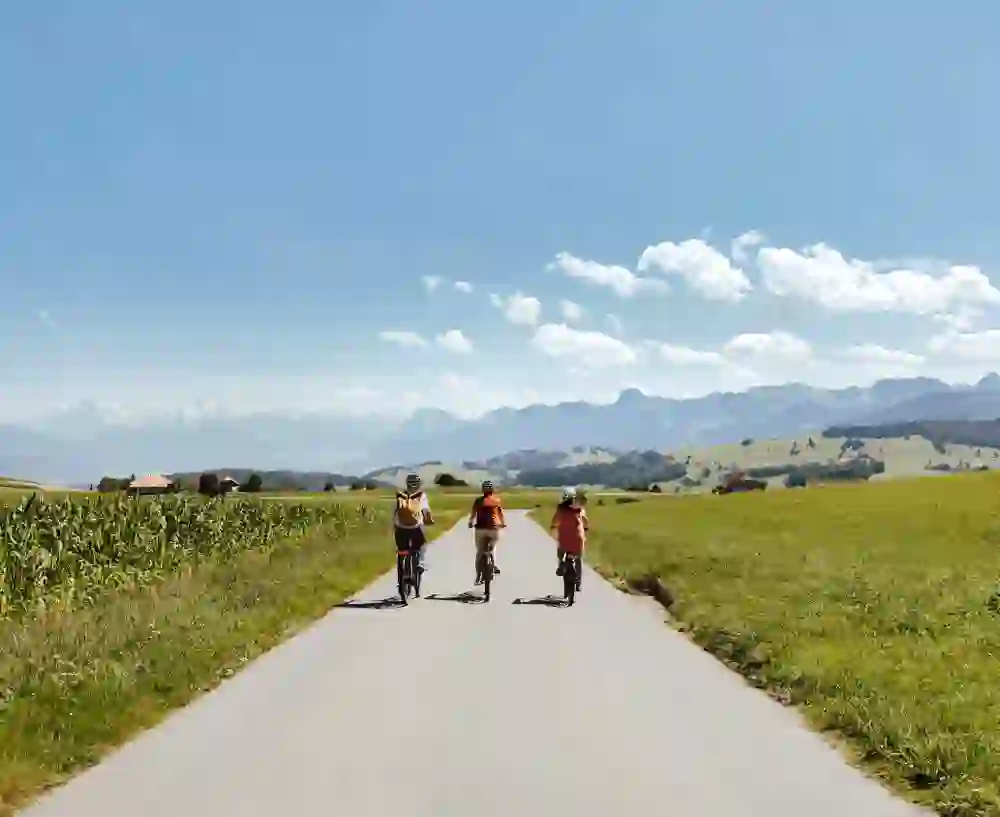 Eine Gruppe E-Biker:innen erkundet gemeinsam die ländliche Idylle der Sagenroute Gantrisch, umgeben von sattgrünen Feldern und dem majestätischen Panorama der Schweizer Alpen, ein Bild der Entspannung und des Einklangs mit der Natur.