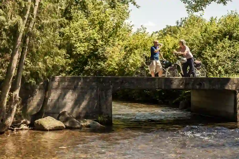 The picture shows two e-bikers standing on a small concrete bridge over a stream. They have parked their bikes and appear to be engaged in a lively conversation. The surroundings look natural with trees and bushes in the background, and the water flows clearly over the stones in the stream. It is a sunny day and shadow patterns are visible on the bridge and the water.