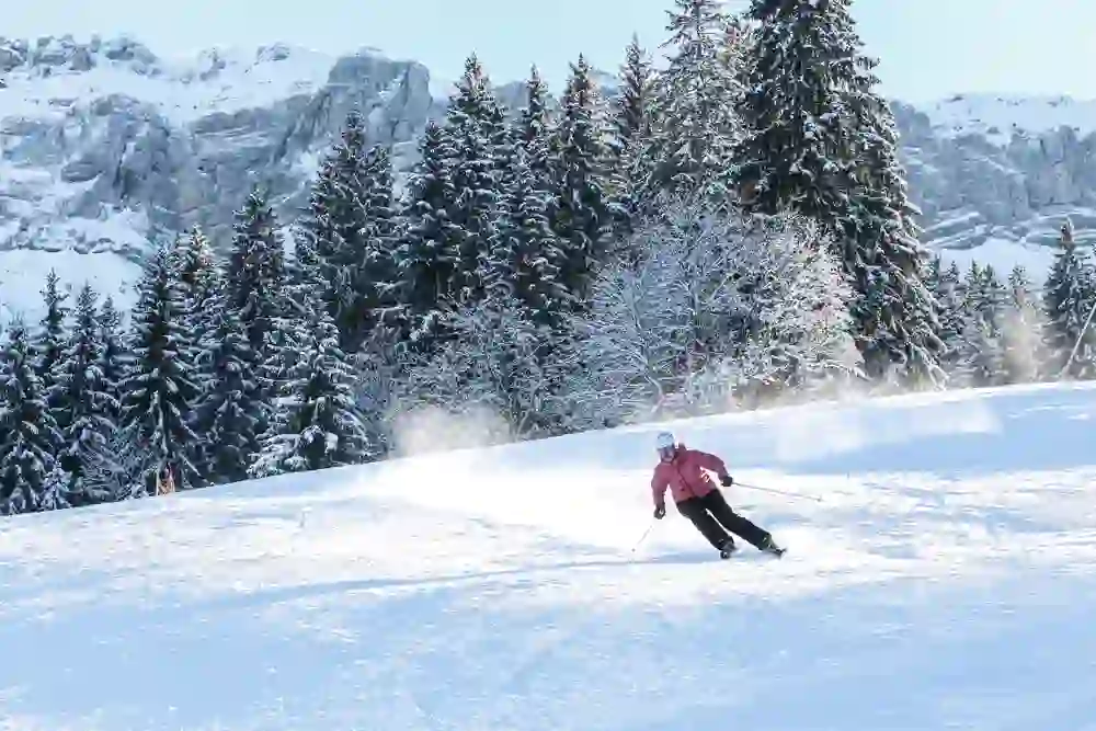 Ein Skifahrer gleitet dynamisch über die verschneite Piste vor majestätischer Winterkulisse. Die klare Bergluft, das Glitzern des Schnees und die umstehenden Tannen erzeugen ein Gefühl von Freiheit, Frische und purer Lebensfreude.