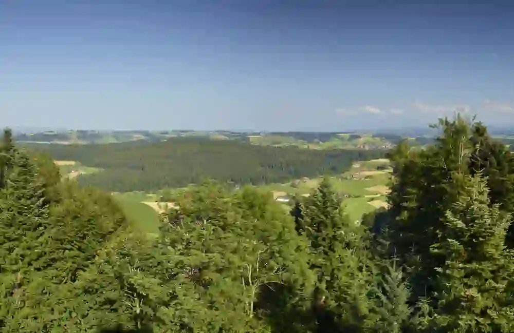 Das Bild zeigt eine atemberaubende Aussicht auf eine sanfte Hügellandschaft, durchzogen von Wäldern und Feldern. Die klare Luft und die weitläufige, unberührte Natur vermitteln ein Gefühl von Ruhe und Freiheit.