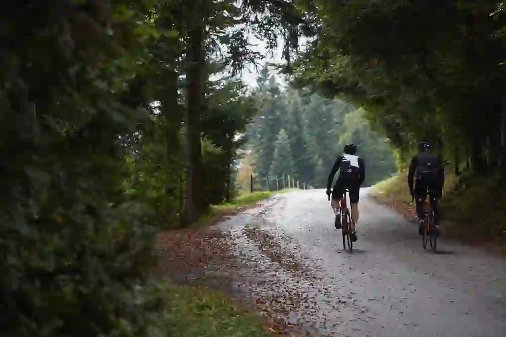 Road cyclists glide along a route in the Emmental valley through an autumnal avenue. The scenery is tranquil, the colours of the falling leaves paint the path, while the silence of nature provides inner peace.