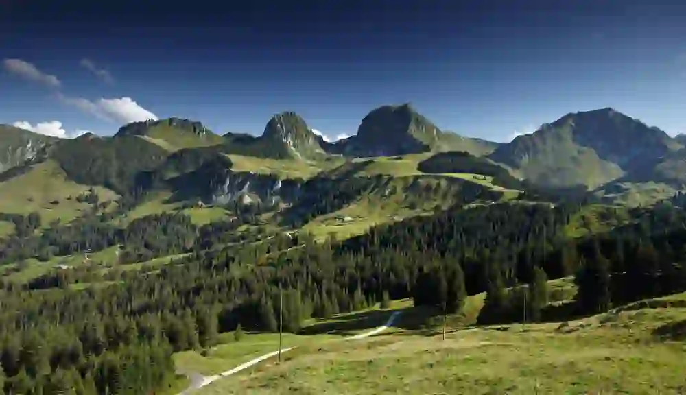 Eine idyllische Landschaft mit grünen Wiesen, Nadelwäldern und markanten Berggipfeln, vermutlich in den Schweizer Alpen, bei klarem blauen Himmel.