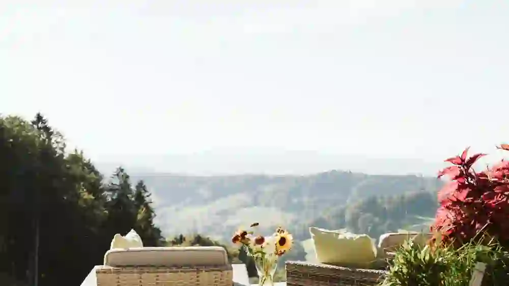 Sur la photo, on peut voir la terrasse wellness relaxante du Landgasthof Lueg, qui offre une vue imprenable sur des paysages vallonnés verdoyants. Les chauds rayons du soleil et les fleurs fraîches créent une atmosphère paisible et exaltante.