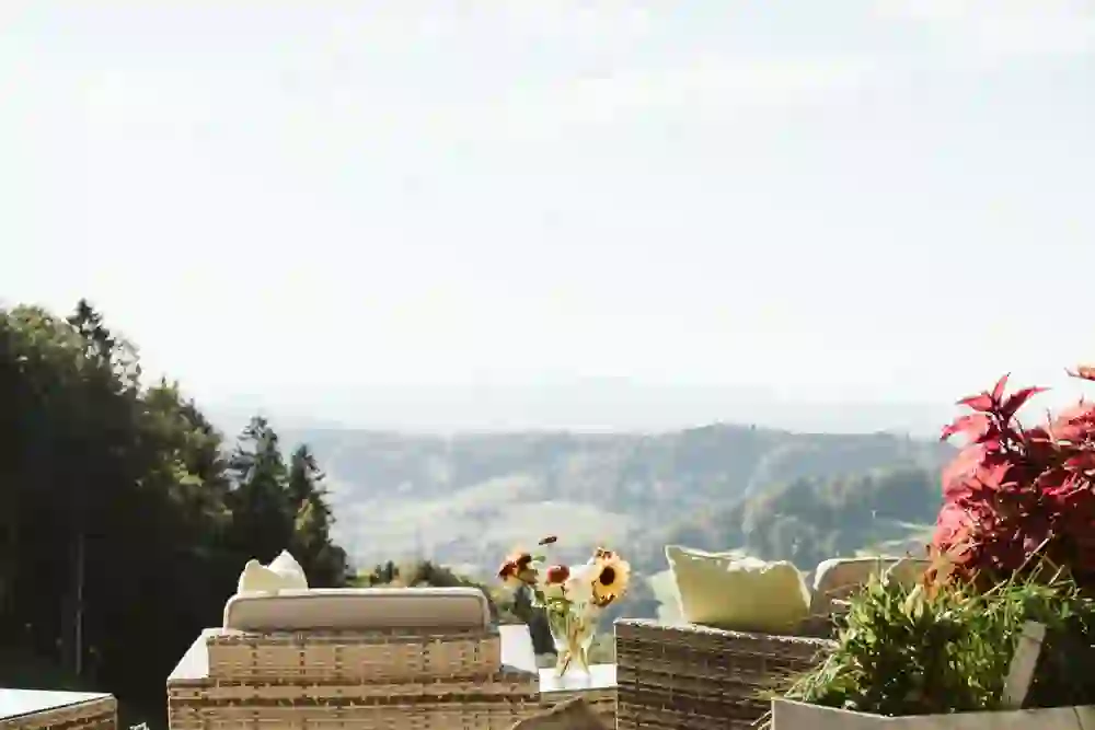 The picture shows the relaxing wellness terrace at Landgasthof Lueg, which offers a breathtaking view of green hilly landscapes. The warm rays of sunshine and fresh flowers create a peaceful, uplifting atmosphere.