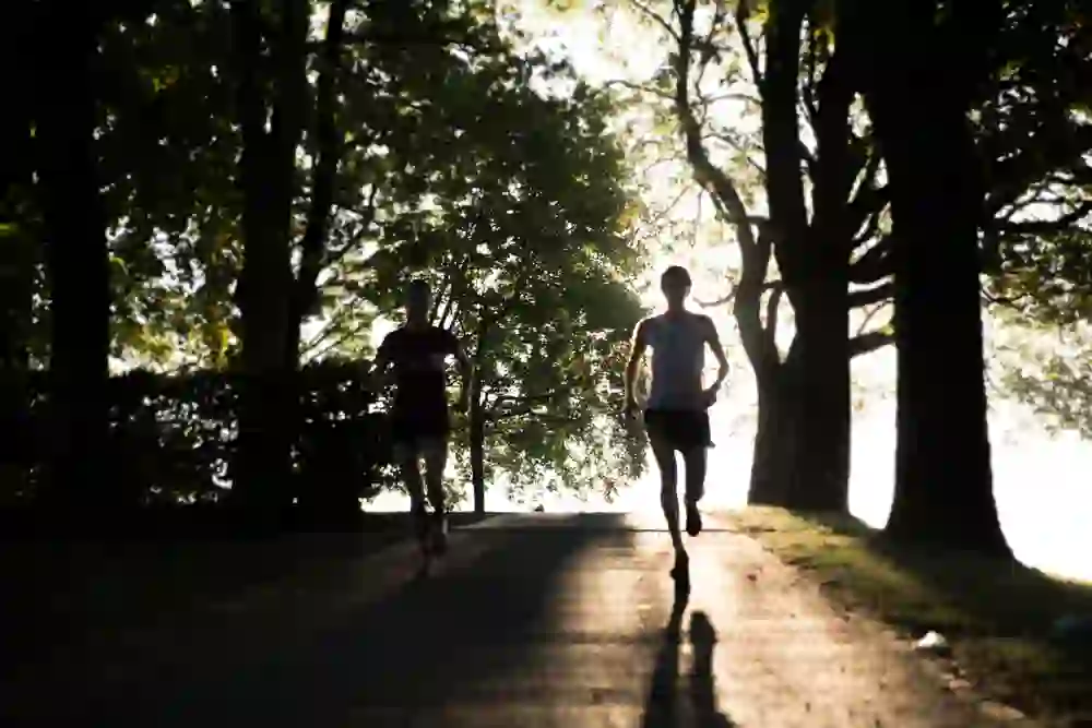 Gegenlicht zeichnet die Silhouetten zweier Läufer im Gurtenpark nach; ihr Lauf durch die ruhige, grüne Oase wirkt fast meditativ.