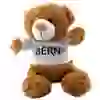 Das Bild zeigt einen Plüschbären mit einem T-Shirt mit dem aufgedruckten BERN-Logo