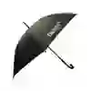 The picture shows the stick umbrella with BERN logo in the colour black