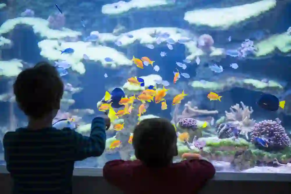 Zwei Kinder stehen staunend vor einem farbenprächtigen Aquarium, ihre Gesichter beleuchtet von der sanften Unterwasserwelt, ein Moment kindlicher Wunder und Entdeckungslust.