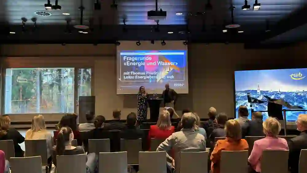 Bern-Vernetzer:innen Workshop November 2024