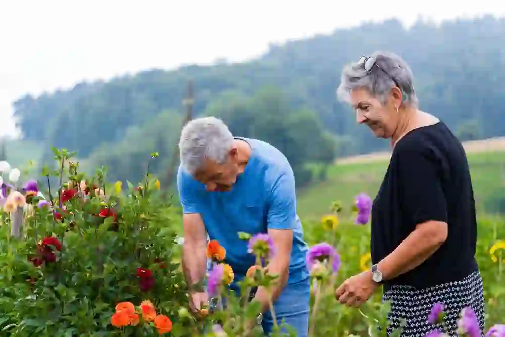 Das Foto zeigt zwei Personen in einem farbenfrohen Blumengarten auf dem Mattenhof in Melchnau, wobei eine sorgfältig Blumen schneidet und die andere zusehend ein warmes Lächeln zeigt. Die natürliche Umgebung und die ruhige Beschäftigung vermitteln ein Gefühl von Frieden und Freude. Der Austausch zwischen den beiden scheint geprägt von Zufriedenheit und Verbundenheit mit der Natur, während sie sich der Pflege des Gartens widmen.