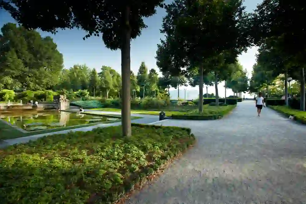 Nel parco ben curato del Giardino delle Rose di Berna, una persona fa jogging lungo il sentiero curvo, circondato da siepi accuratamente tagliate e alberi maturi. L'atmosfera tranquilla è enfatizzata dal dolce scroscio della fontana vicina e dal morbido fruscio delle foglie. Un rifugio tranquillo nel centro della città.