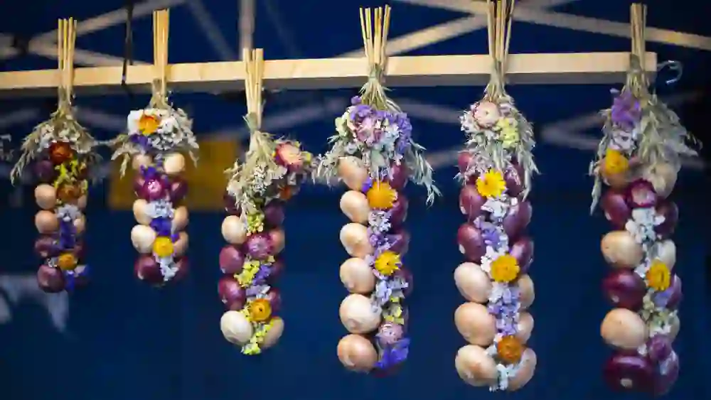 Das Bild zeigt dekorative Zwiebelzöpfe, die an einem Marktstand hängen. Jeder Zopf besteht aus roten und weißen Zwiebeln, die abwechselnd angeordnet sind und mit getrockneten Blumen in verschiedenen Farben verziert wurden. Der Hintergrund ist blau und zeigt das Gestell des Marktstands.