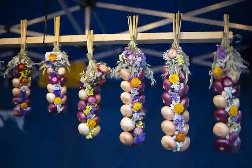 Das Bild zeigt dekorative Zwiebelzöpfe, die an einem Marktstand hängen. Jeder Zopf besteht aus roten und weißen Zwiebeln, die abwechselnd angeordnet sind und mit getrockneten Blumen in verschiedenen Farben verziert wurden. Der Hintergrund ist blau und zeigt das Gestell des Marktstands.