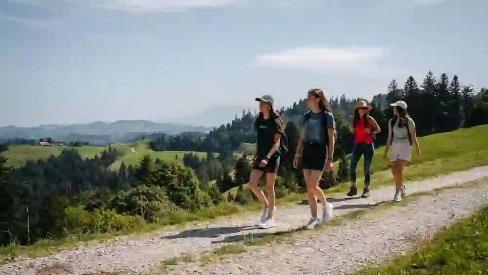 Das Bild zeigt vier junge Frauen beim Wandern in einer idyllischen Hügellandschaft. Die Stimmung ist entspannt und fröhlich, die klare Luft und die weite Aussicht schaffen ein Gefühl von Freiheit. Sie genießen gemeinsam die Natur und die friedliche Umgebung.
