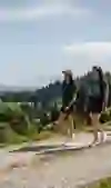 The picture shows four young women hiking in an idyllic hilly landscape. The mood is relaxed and cheerful, the clear air and the expansive view create a feeling of freedom. They are enjoying nature and the peaceful surroundings together.