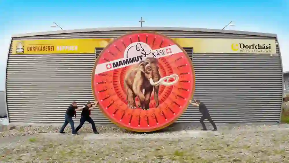 Sur la photo, on peut voir un énorme fromage de mammouth et trois personnes qui essaient de le maintenir en place.