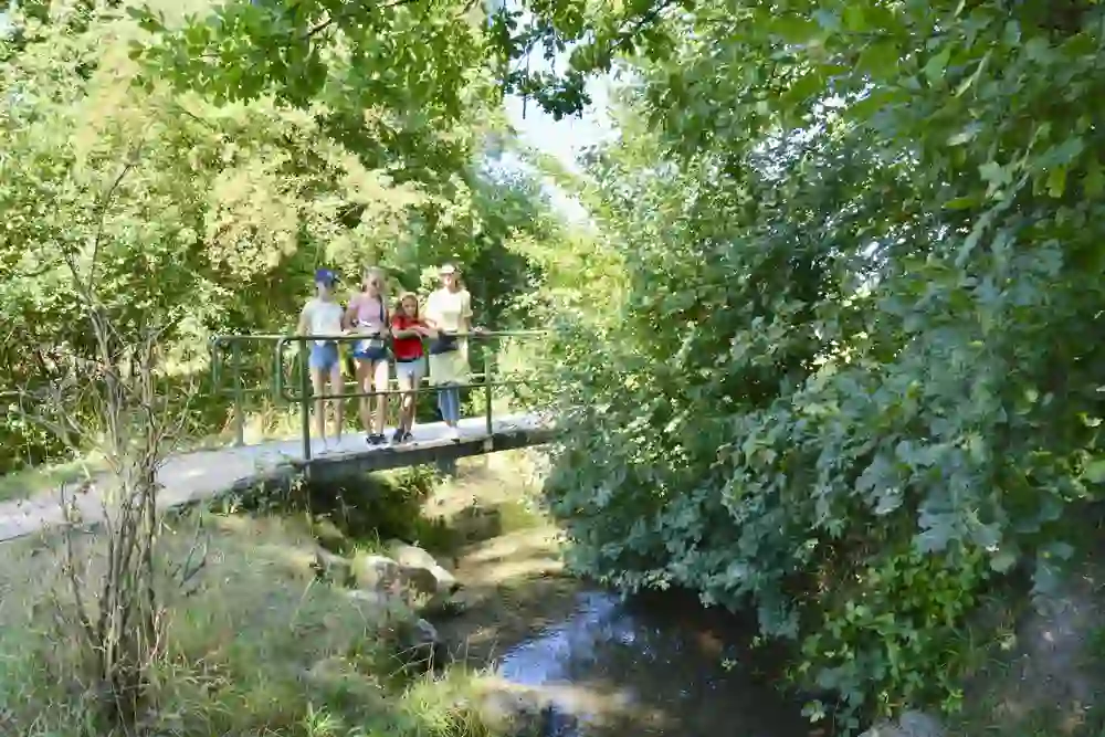 Das Foto zeigt eine Gruppe von Personen, die auf einer kleinen Brücke auf dem Spaziergang Berke Chehr über einen Bach stehen und in die Natur blicken. Umgeben von grünen Bäumen und Sträuchern, scheint die Gruppe das klare Wasser und die ruhige Umgebung zu genießen. Das Bild strahlt ein Gefühl von Freizeit und Entspannung aus, ein Moment der Verbindung mit der Natur und des geselligen Beisammenseins.