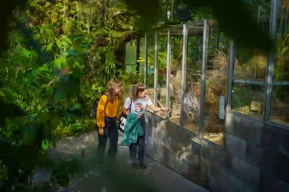 Deux visiteuses observent avec fascination les animaux du parc animalier de Berne, Dählhölzli + BärenPark, entourés d'une verdure luxuriante, ce qui donne un sentiment de découverte et de proximité avec la nature.