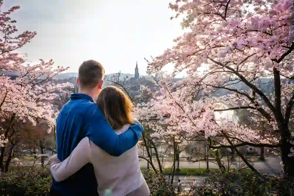 Un couple est là, enlacé, perdu dans la vue des cerisiers en fleurs avec, en arrière-plan, une vue imprenable sur la Berne historique.
