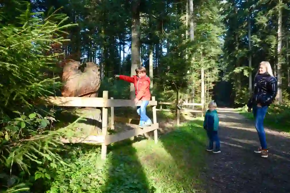 Das Bild zeigt eine Familie, die einen Walderlebnispfad in Roggwil erkundet.