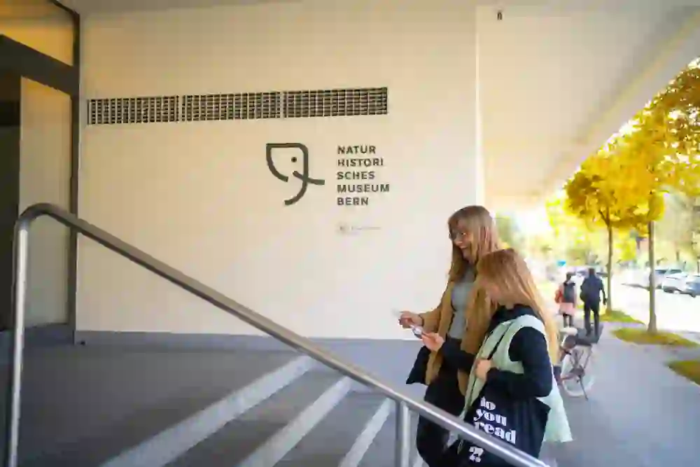 Sur la photo, on voit deux personnes joyeuses qui se tiennent devant l'entrée du Musée d'histoire naturelle de Berne. Le soleil d'automne brille et les feuilles jaunes confèrent à la scène une atmosphère chaleureuse et accueillante.