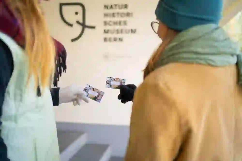 Im Fokus des Bildes stehen die Hände zweier Personen, die einander ihre Museumskarten zeigen. Ihr warmer Atem könnte in der kühlen Luft nahe dem Naturhistorischen Museum Bern sichtbar sein, ein Moment geteilter Vorfreude.