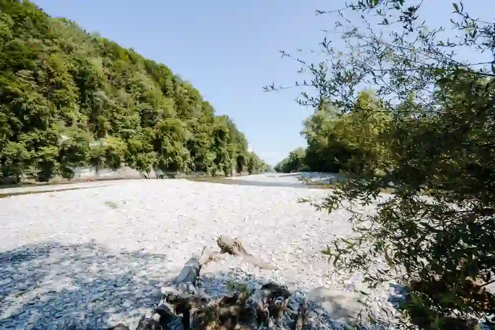 Eine friedvolle Oase: Der Zusammenfluss von Saane und Sense bei Laupen, wo das Glitzern des Wassers und das Rauschen der Blätter zur Ruhe einladen.
