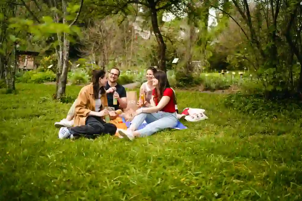 The picture radiates a cheerful mood: A group of friends relax and enjoy a picnic in the botanical garden. Surrounded by lush greenery, they sit on a blanket and laugh together while sharing snacks and drinks. The photo captures a sense of community and leisure and shows a moment when simply being together outdoors becomes a real pleasure.