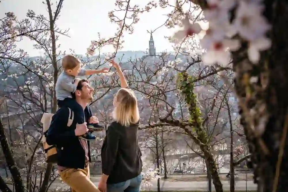 Eine Familie erlebt einen Moment des Staunens und der Freude unter blühenden Kirschbäumen, mit einem Blick auf das historische Bern im Hintergrund.