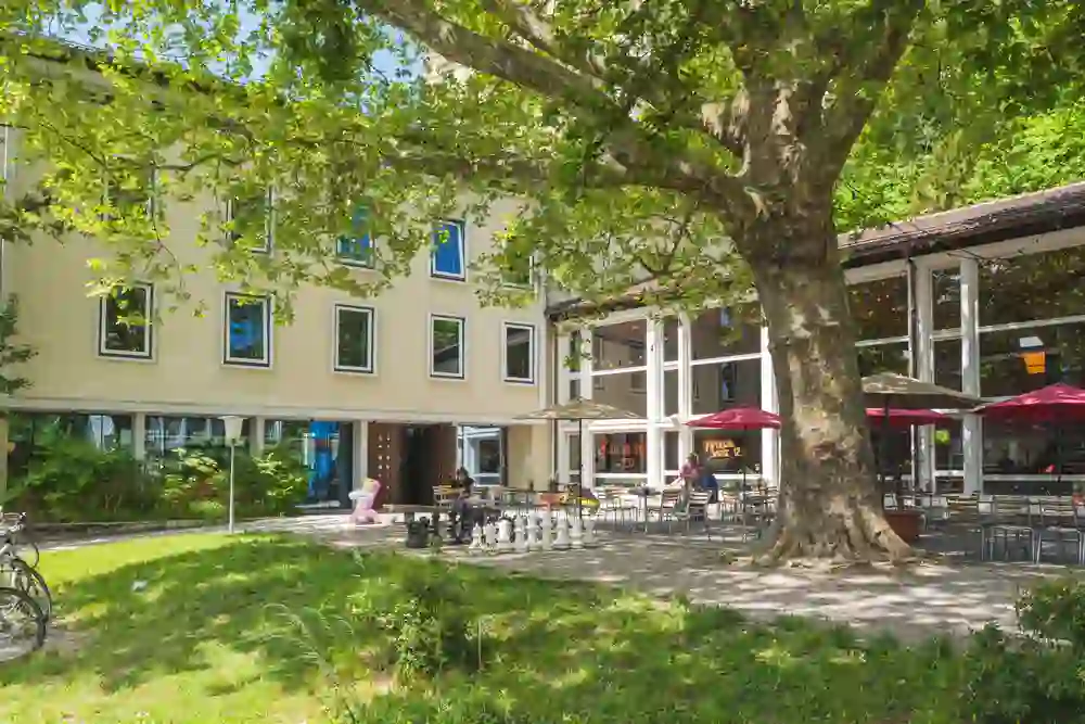 Youth hostel garden area with large tree, terrace and seating. People are playing chess and enjoying the shade. The scene radiates summery serenity and a sociable, relaxed atmosphere.
