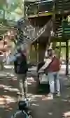 A family is in a shady playground: a child climbs over a net, supported by an adult, while a person with a pram looks on. The scene appears lively, secure and filled with playful joy.
