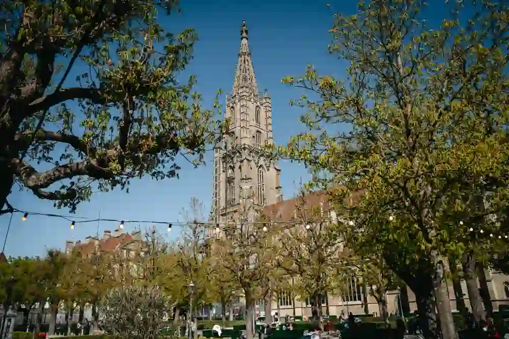 La plate-forme de la cathédrale au printemps, encadrée d'arbres en fleurs. En arrière-plan, la tour de la cathédrale de Berne se dresse majestueusement au-dessus des parcs.