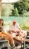 Un joyeux groupe d'amis est assis à la terrasse ensoleillée d'un restaurant au bord de la rivière. Ils rient et savourent leurs boissons dans une atmosphère détendue. Le cadre pittoresque de la rivière verte et de la nature luxuriante renforce le sentiment de joie et de communauté.