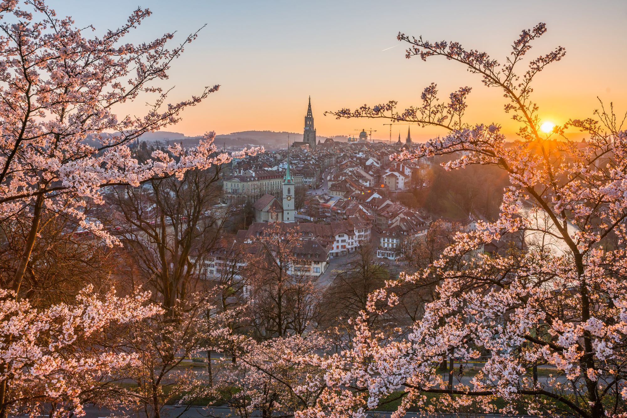 https://a.storyblok.com/f/272028/7680x5123/6184a16c64/bern_aussicht-kirschblueten-sonnenuntergang_rosengarten_5_c_bern-welcome.jpg/m/2000x0/filters%3Aquality%2880%29