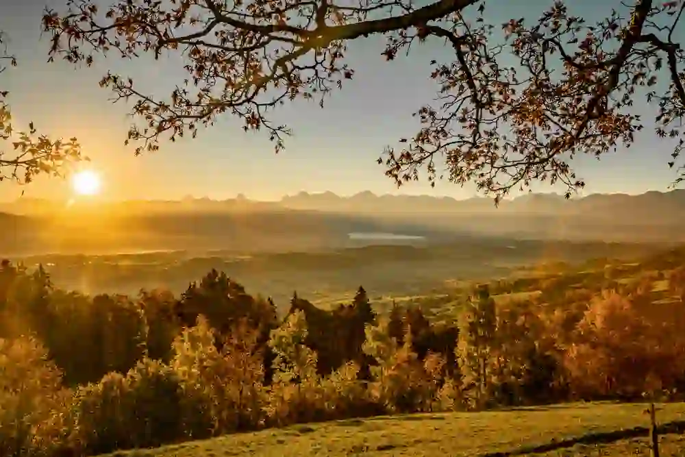 Un lever de soleil sur le paysage pittoresque de Bütschelegg dans le parc naturel de Gantrisch avec des montagnes en arrière-plan, une lumière dorée inonde la scène. Au premier plan, des arbres aux feuilles d'automne, et dans la vallée s'étendent des champs et des forêts.