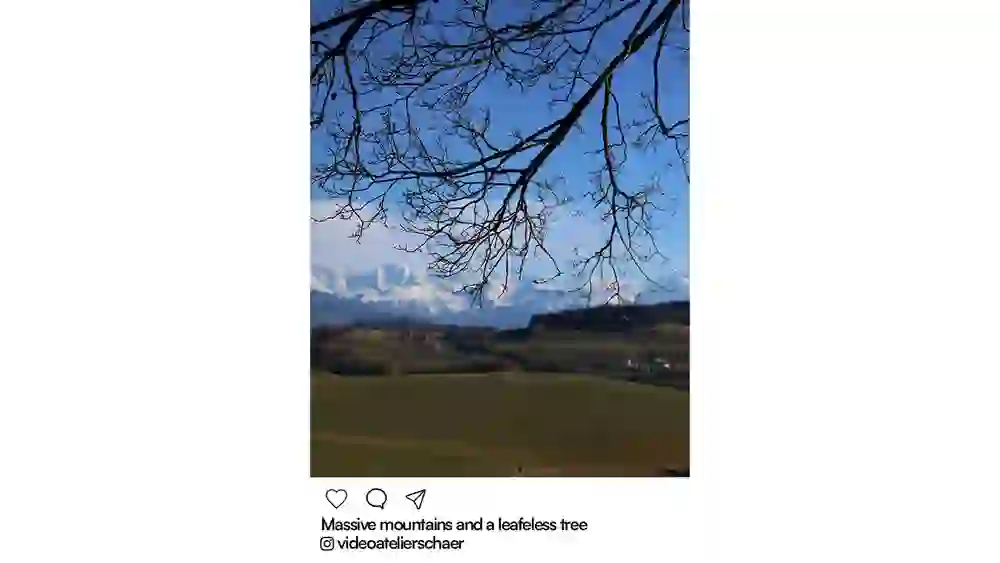 Des branches sombres et dénudées se dessinent sur un ciel bleu, avec en arrière-plan de douces collines et des Alpes enneigées. L'ambiance est calme, claire et pleine d'espoir - le printemps avant l'éveil.
