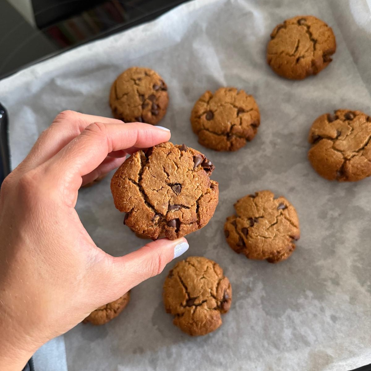 Hand holding a soft peanut butter breakfast cookie with chocolate chips, made with almond flour and protein powder for a high-protein gestational diabetes breakfast.