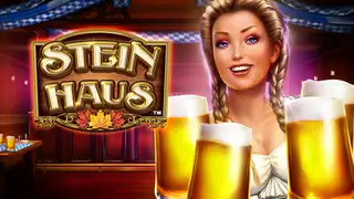 Stein Haus Banner