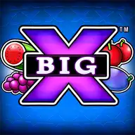 Big X Logo