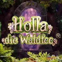 Holla die Waldfee Logo