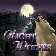 Night Wolves Logo
