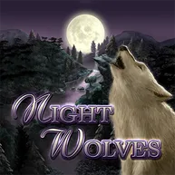 Night Wolves Logo