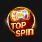 Top Spin Logo