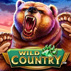 Wild Country Logo