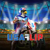 USA Flip Logo