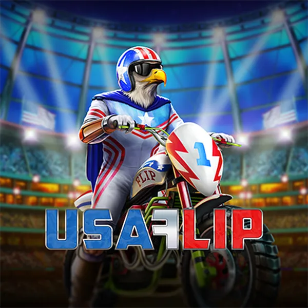 USA Flip Logo