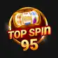 Top Spin 95 Logo