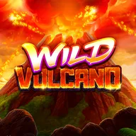 Wild Volcano Logo